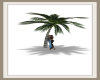 (SS)Palm Tree Kiss