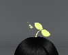 Sprout Anim. ʚɞ