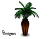jazz lounge plant