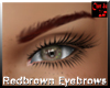 Redbrown Eyebrows