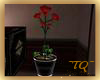 ~TQ~prince flowering pot