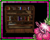 Zana Steampunk Bookshelf