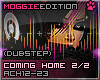 Coming Home (dubstep)