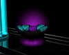 Couple Purple/Teal