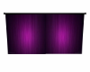Purple Animated Curtin