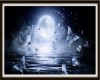 Picture Moon Light Fly