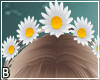 Daisy Headband
