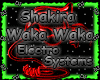 DJ_Shakira Waka Waka Mix