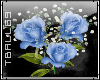 blue roses sticker