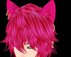 Cheshire Cat Ears F/M