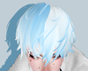 翔 sho