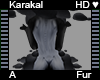 Karakal Fur A