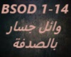 Wael Jassar-Bel Sodfe