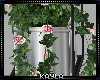Modern Plants Set 🌻