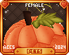 [Pets] Jackie | pumpkin