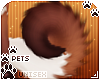 [Pets] Ginga | tail v1