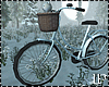 Sweet Bear Bicycle