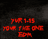 EDM-YOUR THE ONE
