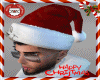 llzM.. Christmas Hat R