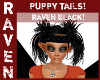 PUPPY TAILS RAVEN BLACK!