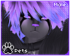 [Pets] Kia Furry | Male v2