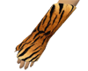Tiger Cast Left (F)