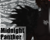 MidnightPanther-M ShdFur