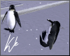 [kk] Frozen Penguins