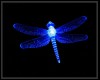 Dragonfly RULES CUSTOM
