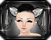 $[A] Kitty pearl Ears