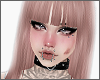 Cafryn Moka