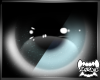 ARCTII | Eyes