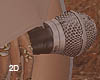 2D microphone 