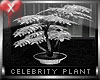 Celebrity Plant