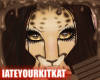 Cheetara A Skin