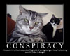 Conspiracy Cats