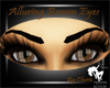 Alluring Brown Eyes
