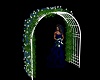 BLUE ROSE WEDDING ARCH