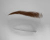 My Ginger Brows