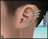Tx Holy Earrings