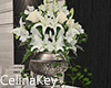 Wedding Flower w Light s