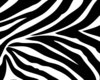 Zebra Strip Makeup Chair