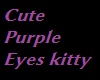 cute purple eyes kitten