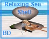 [BD] Relaxing Sea Shell