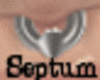 [N]Septum