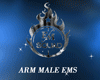 EMS Male Arm P2