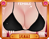 [Pets] Bra | Black