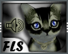 [FLS] Black Kitten Pet