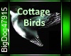 [BD]CottageBirds