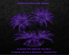 Purple Potted Fern